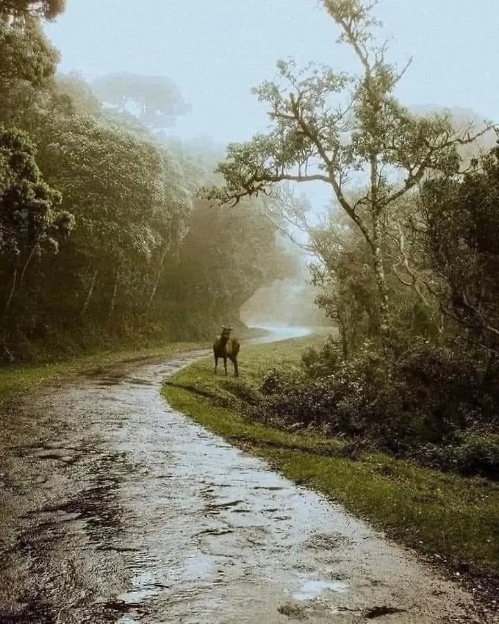 Amaraai Lake Edge Nuwara Eliya