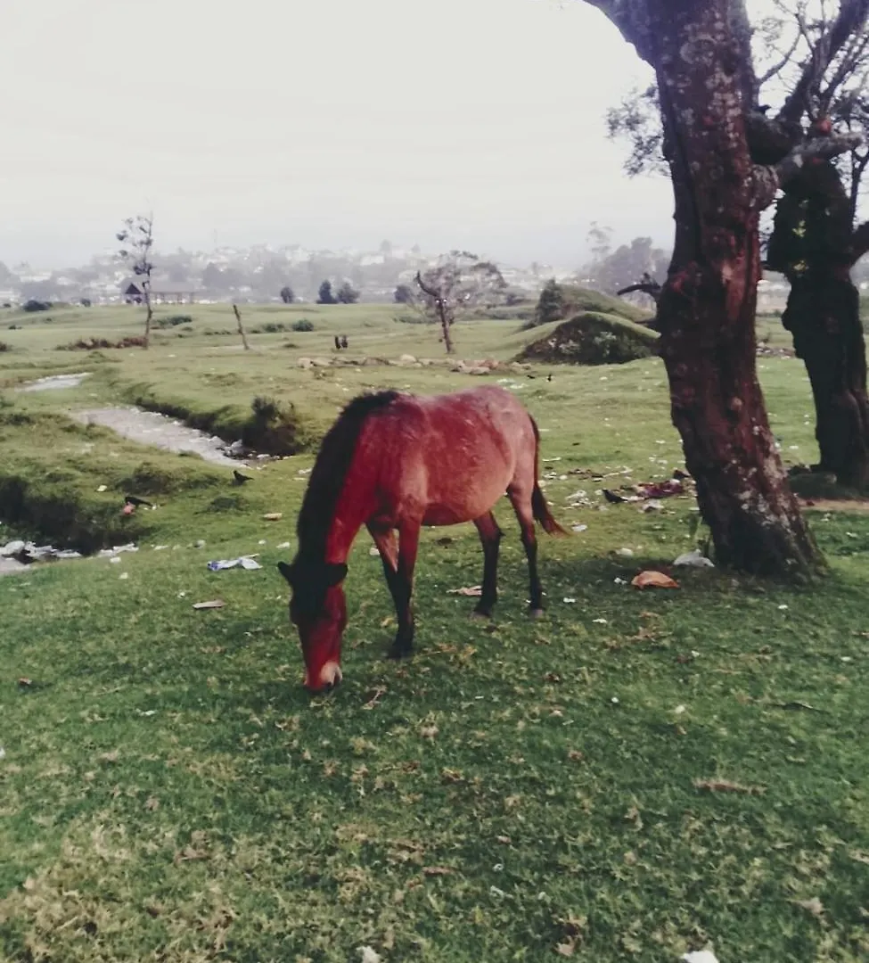 Amaraai Lake Edge Nuwara Eliya
